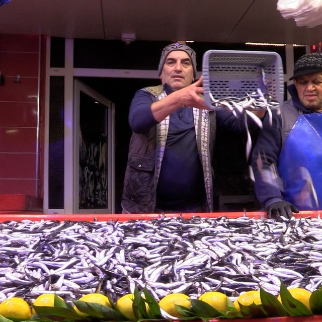 Bolu'da hamsinin kilosu 150 liraya düştü
"Bolu'ya gelen hamsi Türkiye'nin h...