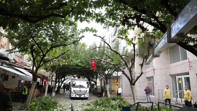 İncirliova Sevgi Yolu'ndaki ağaçlara bakım