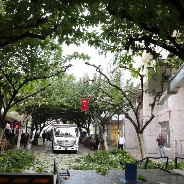 İncirliova Sevgi Yolu'ndaki ağaçlara bakım