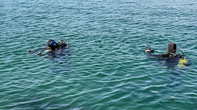Marmara Denizi'nin ekolojik yapısı mercek altında
Hayalet ağlar ekosistemi tehdit ediyor
Marmara Denizi'nin 30 ayrı noktasında dalgıçlar kirliliğin sebebini araştırdı