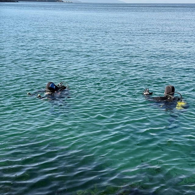 Marmara Denizi'nin ekolojik yapısı mercek altında
Hayalet ağlar ekosistemi...