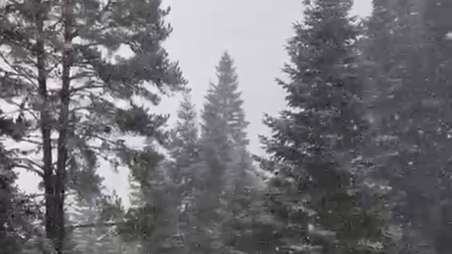 Ilgaz Dağı'nda kar yağışı etkili olmaya başladı