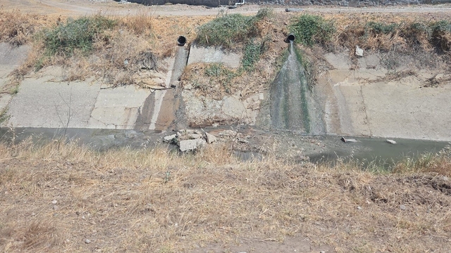 Çevreyi kirleten işletme hakkında yasal işlem başlatıldı