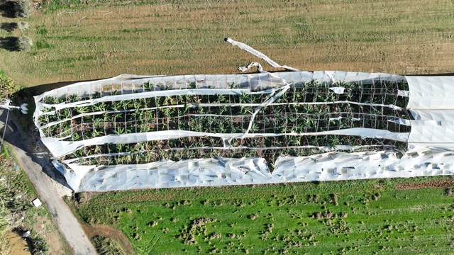 Antalya'da hortumun seralara verdiği zararın boyutu gün yüzüne çıktı
Zarar gören seralarda hasar tespit çalışması gerçekleştirdi