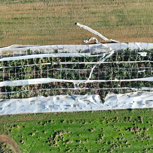 Antalya'da hortumun seralara verdiği zararın boyutu gün yüzüne çıktı
Zarar...