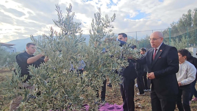 Şehitler için dikilen zeytin fidanlarının geliri TSK Güçlendirme Vakfı'na bağışlandı