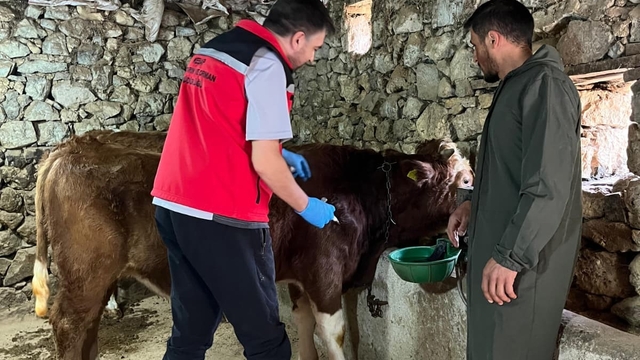 Giresun'da 450 binden fazla hayvan aşılandı