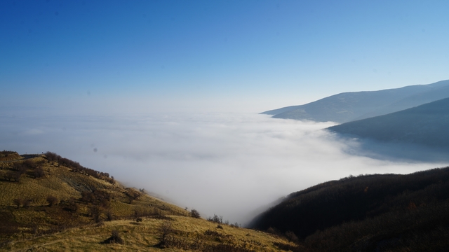 Muş'ta sis ovayı kapladı: Kartpostallık manzaralar oluştu