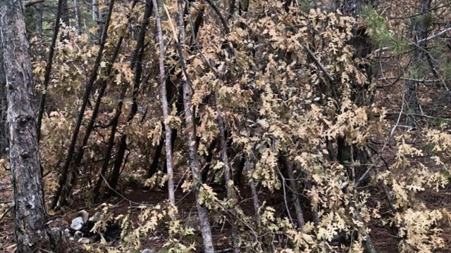 Konya'da 5 gündür kayıp olan 15 yaşındaki çocuk ölü bulundu