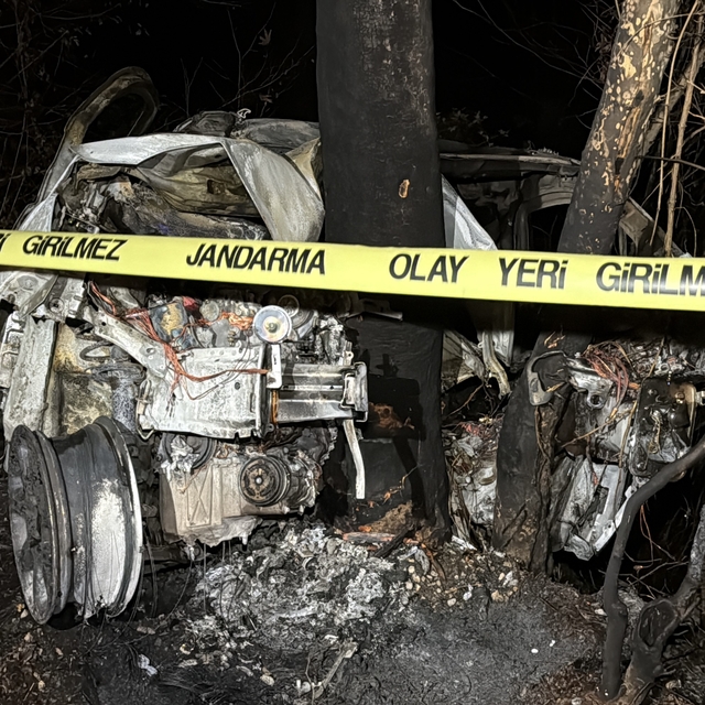 Ağaca çarpan hafif ticari aracın sürücüsü yanarak öldü