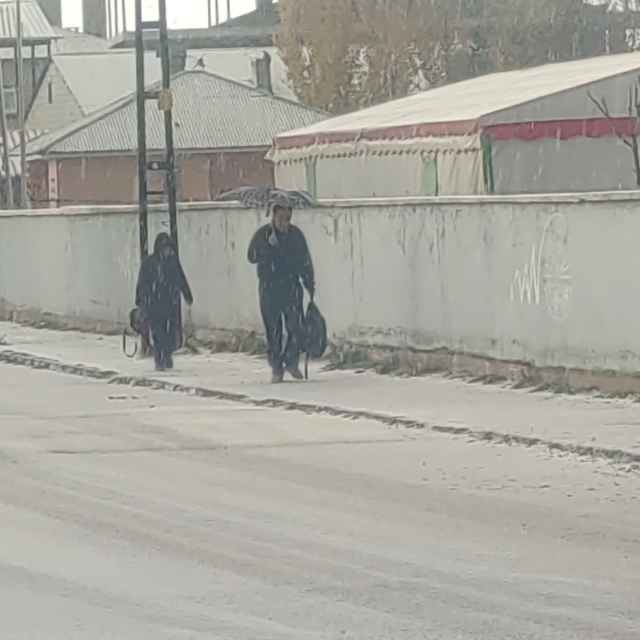 Van'da dolu yağışı şehri beyaza bürüdü