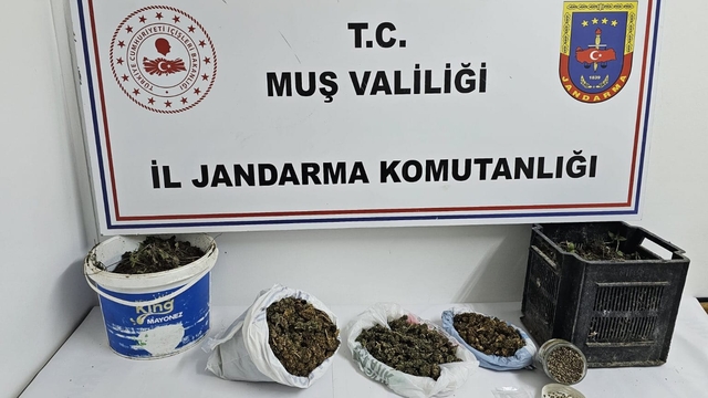 Muş'ta uyuşturucu operasyonunda 1 şüpheli gözaltına alındı