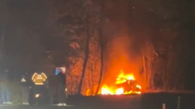 Ağaca çarpan araç alev alev yandı