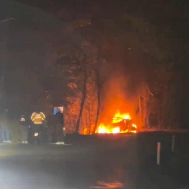 Ağaca çarpan araç alev alev yandı