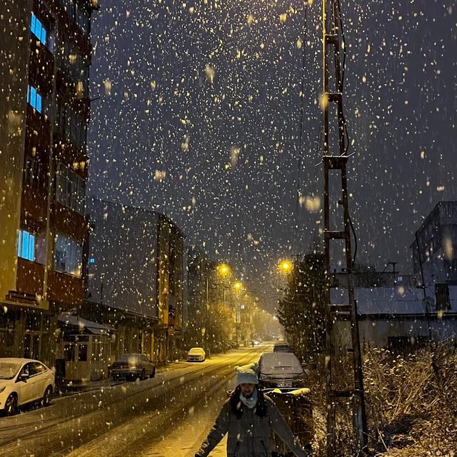 Erzurum, Ardahan ve Kars beyaza büründü
