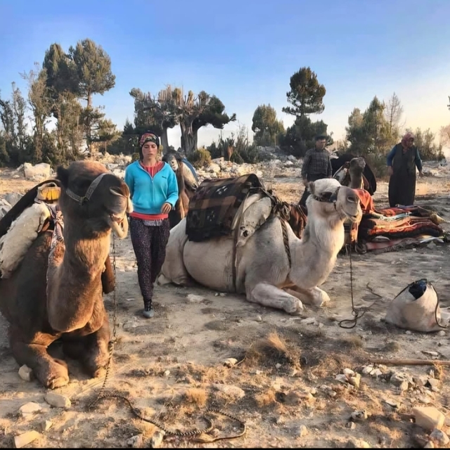 Sarıkeçili Yörüklerin develi 'kış yurdu' yolculuğu sürüyor