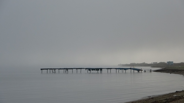 Çanakkale Boğazı sis nedeniyle transit gemi geçişlerine kapatıldı