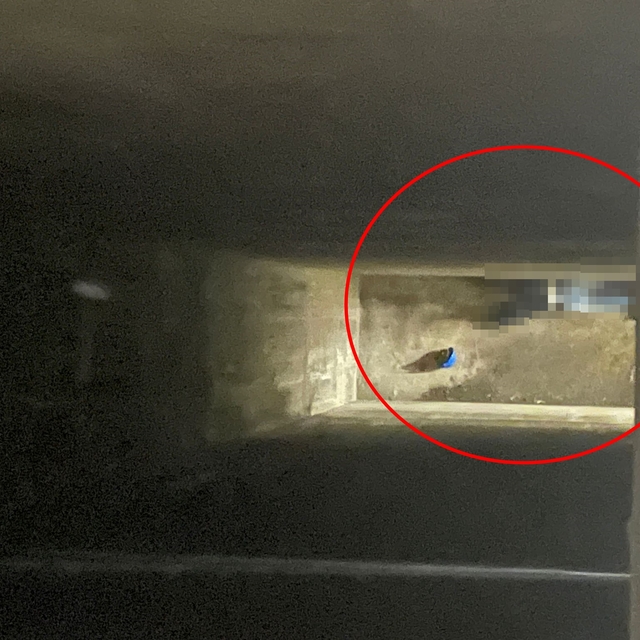 Mardin'de yüksekten düşen işçi öldü