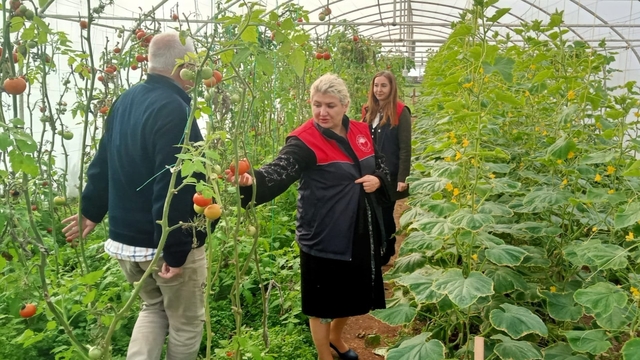 Kırklareli'nde sera kontrolleri