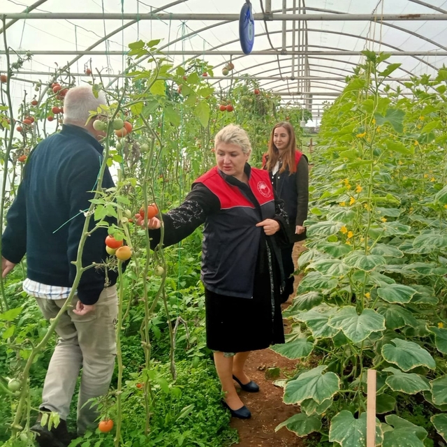 Kırklareli'nde sera kontrolleri