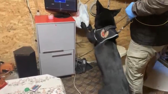 Bağ evindeki uyuşturucu düzeneğini 'Tony' ortaya çıkardı