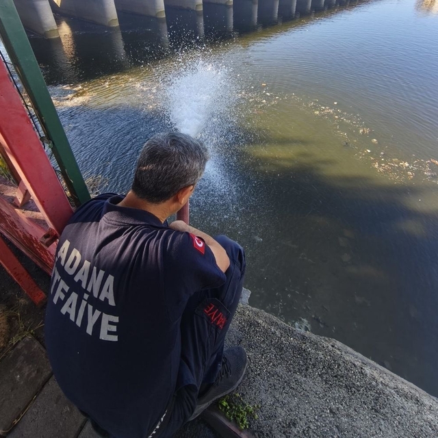 Kuraklık balıkları vurdu
Adana'da kuraklık nedeniyle Seyhan baraj gölünden...
