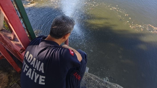 Kuraklık balıkları vurdu
Adana'da kuraklık nedeniyle Seyhan baraj gölünden Seyhan nehrine su akışı durdurulunca, su birikintilerinde kalan balıklar oksijen azlığı nedeniyle telef oldu