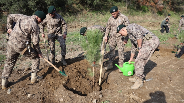 Aydın'da şehit polisler adına fidan dikildi