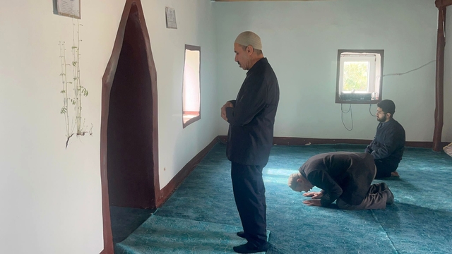 Diyarbakır'da bir caminin mihrap kısmındaki duvardan çıkan bitkinin yaprakları yeşerdi