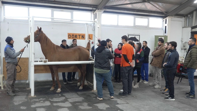 Eskişehir'de "Kısraklarda Suni Tohumlama Eğitimi" düzenlendi