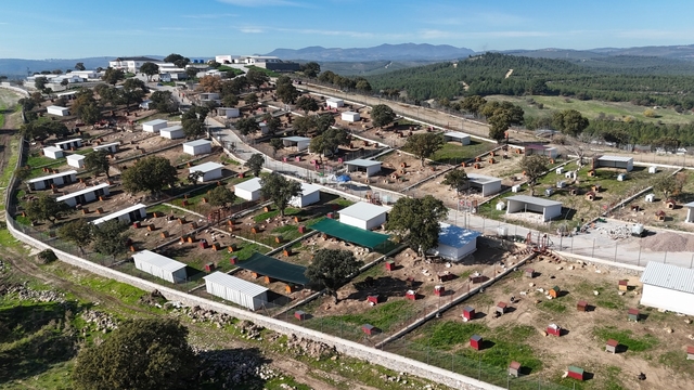 Yunusemre'de sokak hayvanlarına örnek yaşam merkezi