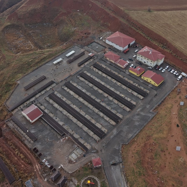 Sivas'ta sokak hayvanları için kapsamlı dönüşüm başladı