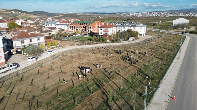 572 fidanlı koruluk Akhisan'a nefes olacak