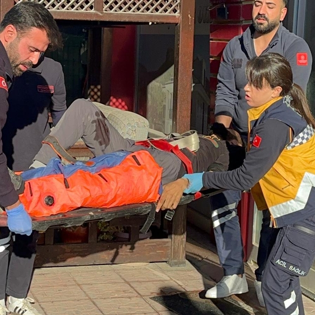 Veterineri tabanca ile vurup, kaçtılar