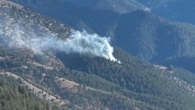 Feke'de çıkan orman yangını kontrol altına alındı