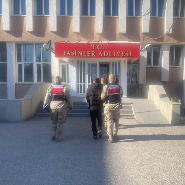 Jandarma büyükbaş hayvan hırsızlarını kısa sürede yakaladı