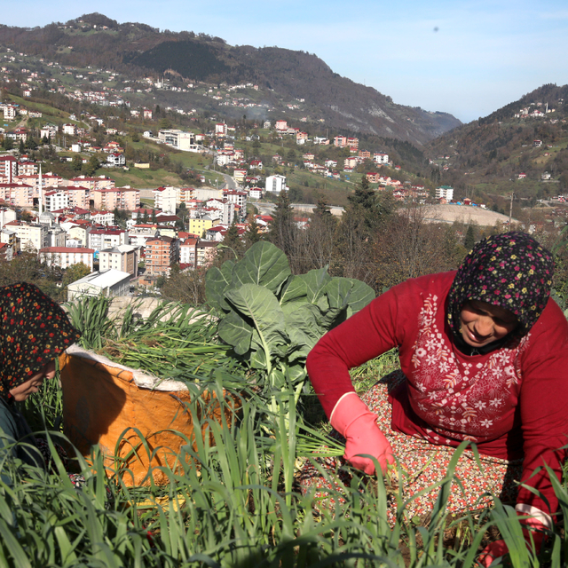 Karadeniz kadınının yayladan stadyuma uzanan Trabzonspor tutkusu