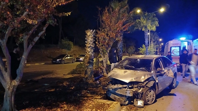 Antalya'da palmiyeye çarpan otomobilin sürücüsü yaralandı