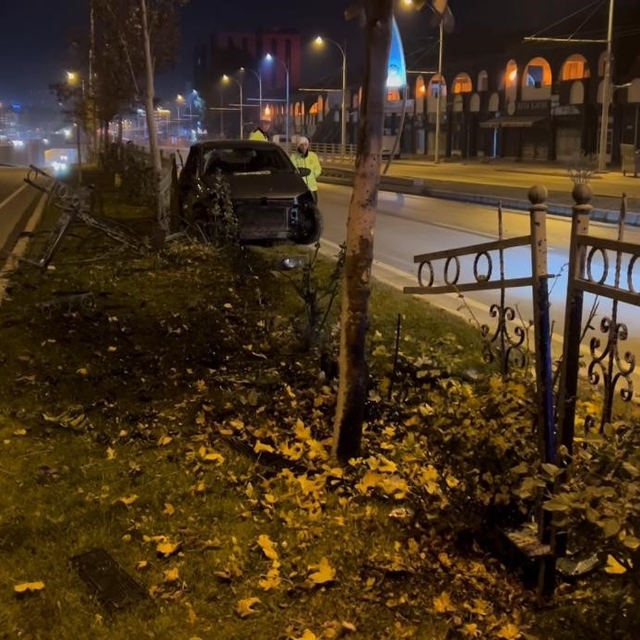 Köpeğe çarpmamak için manevra yapan sürücü refüje çıktı