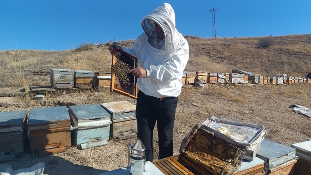Kışa hazırlanan üreticiden sahte bal uyarısı
Adıyaman balı Türkiye'de prolin değeri en yüksek ballardan biri