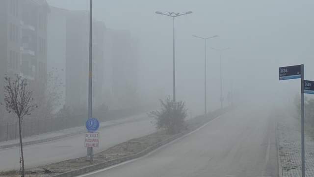 Elazığ'da yoğun sis, bir mahalle adeta kayboldu