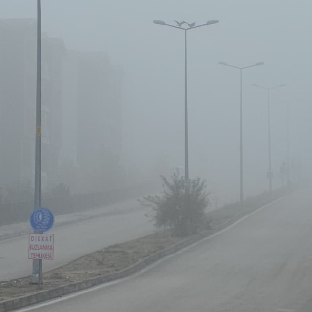 Elazığ'da yoğun sis, bir mahalle adeta kayboldu