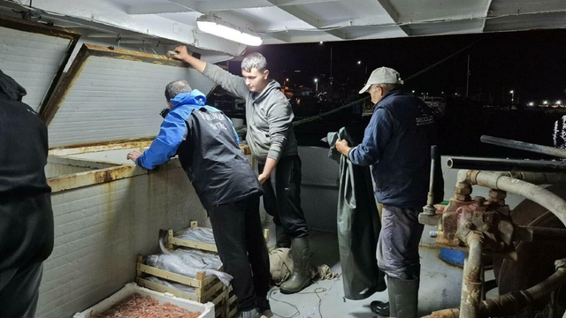 Çanakkale'de yasa dışı avlanan 525 kilo balığa el konuldu