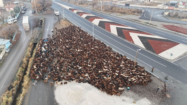 Iğdırlı göçerler, zorlu yolculuğun ardından Iğdır'a ulaştı