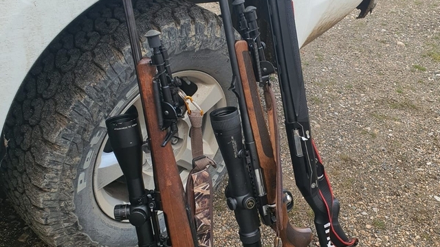 Erzincan'da yaban keçisi vuran 2 şahısa 970 bin 827 TL ceza uygulandı