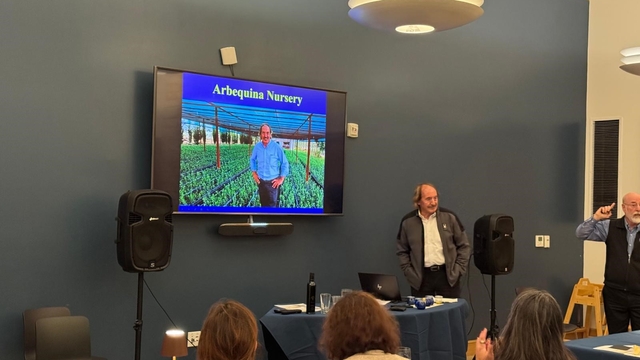 Türk zeytinyağına ABD'de büyük ilgi