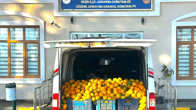 Hatay'da bahçeden portakal çalan 5 şüpheli gözaltına alındı