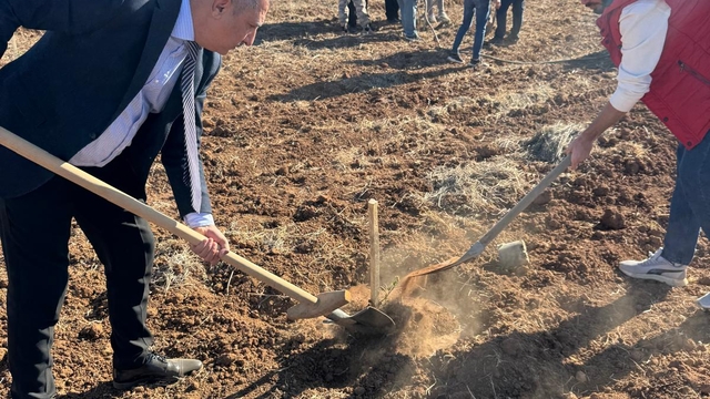 Mardin Artuklu Üniversitesi Uygulama Bahçesi'nde zeytin fidanı dikildi