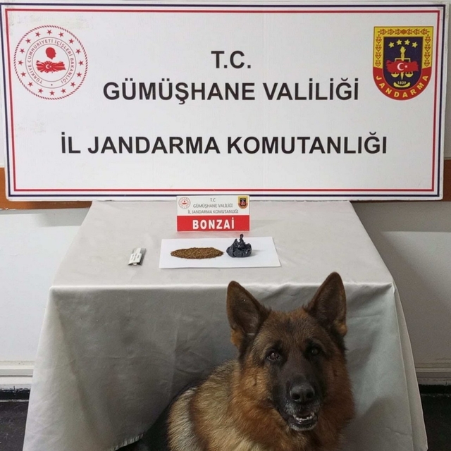 Gümüşhane'de uyuşturucu operasyonu