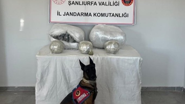 Şanlıurfa'da uyuşturucu operasyonunda 1 şüpheli yakalandı